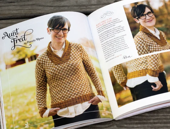 The Rhinebeck Sweater, image 7