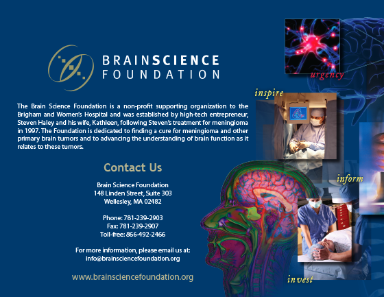 Brain Science Foundation, developement brochure