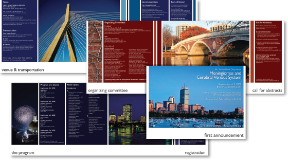 Congress on Meningioma and Cerebral Venous System